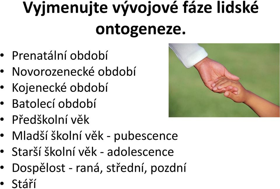 Batolecí období Předškolní věk Mladší školní věk -