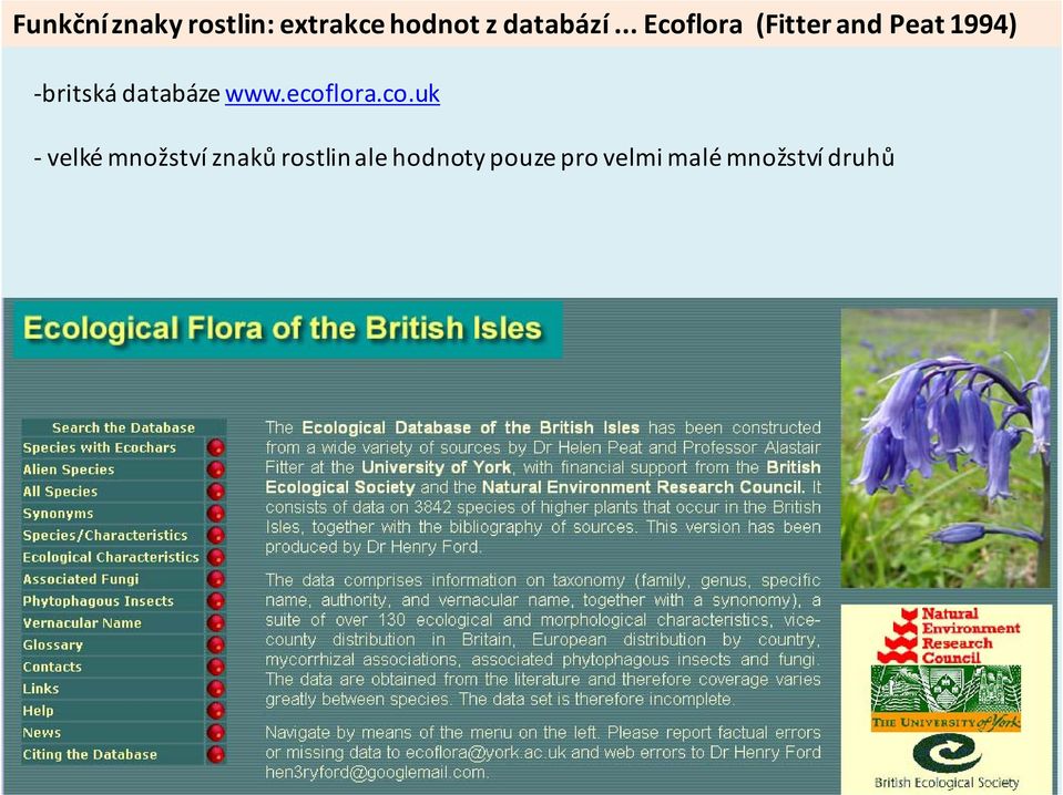 databáze www.ecof