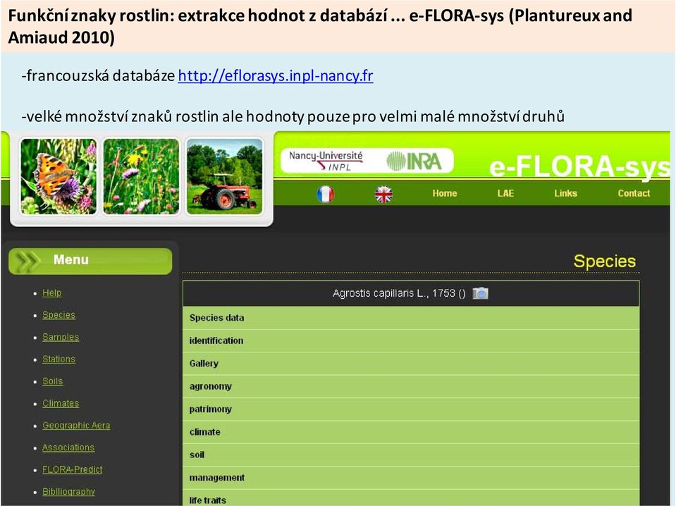 databáze http://eflorasys.inpl nancy.