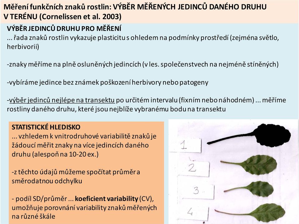 společenstvech na nejméně stíněných) vybíráme jedince bez známek poškození herbivory nebo patogeny výběr jedinců nejlépe na transektu po určitém intervalu (fixním nebo náhodném).