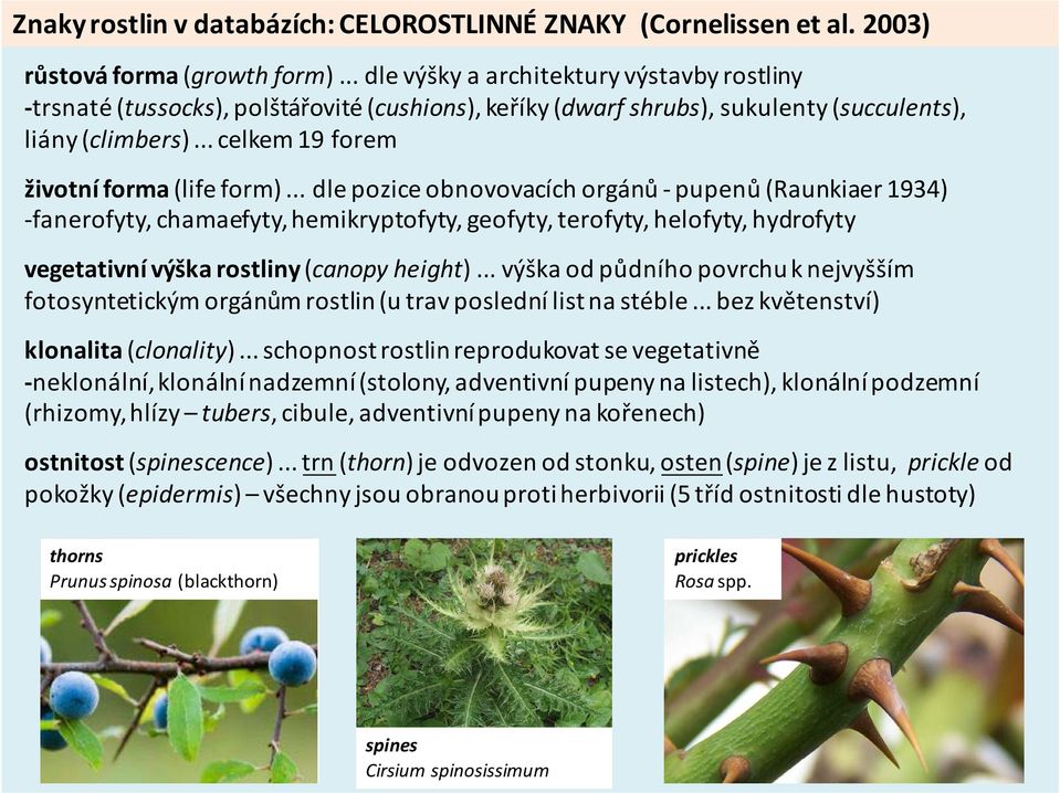.. dle pozice obnovovacích orgánů pupenů (Raunkiaer 1934) fanerofyty, chamaefyty, hemikryptofyty, geofyty, terofyty, helofyty, hydrofyty vegetativní výška rostliny (canopy height).