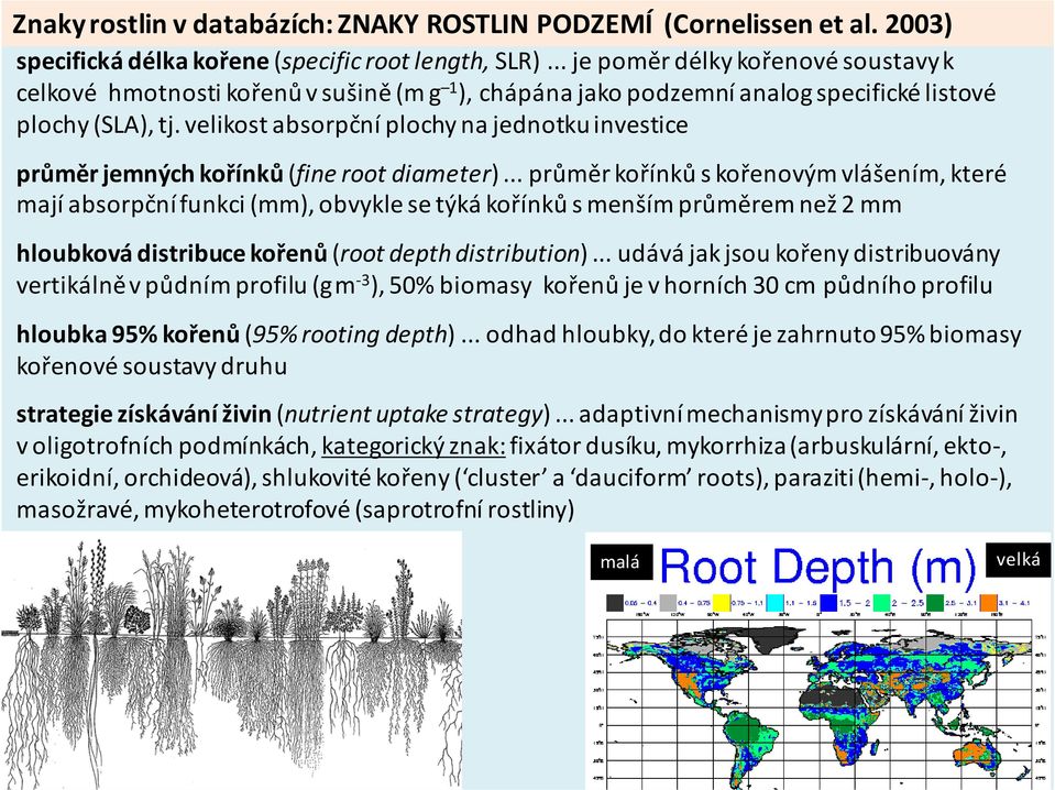 velikost absorpční plochy na jednotku investice průměr jemných kořínků (fine root diameter).