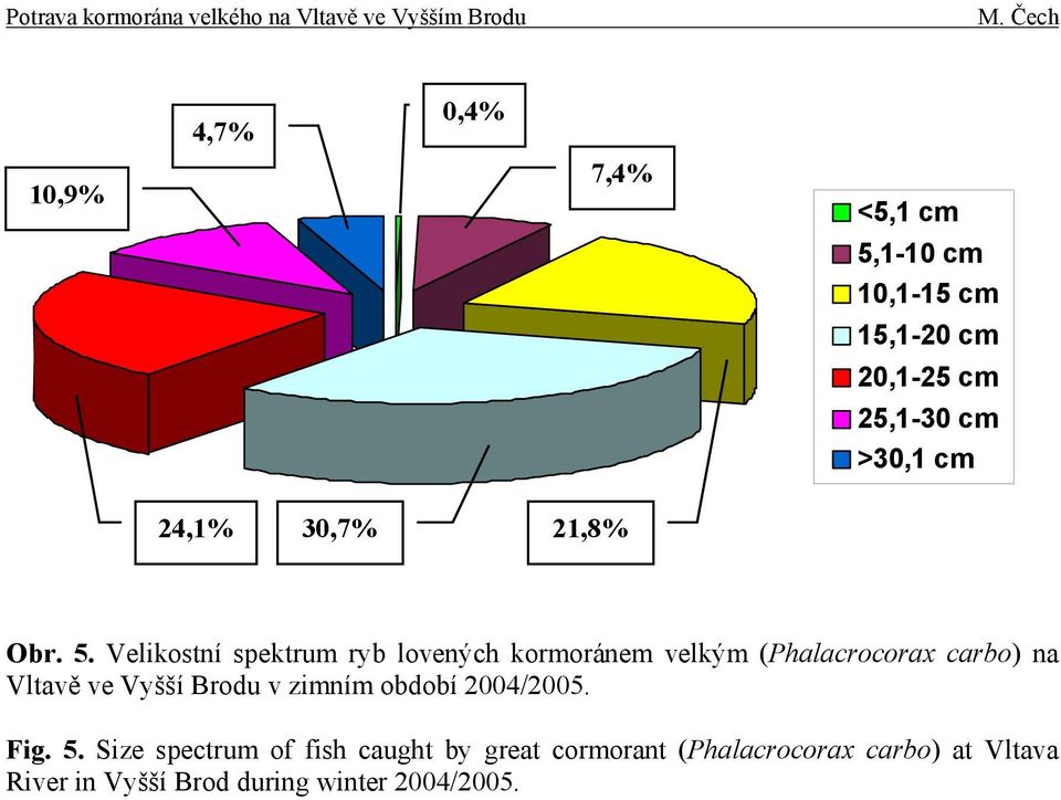 Velikostní spektrum ryb lovených kormoránem velkým (Phalacrocorax carbo) na Vltavě ve Vyšší