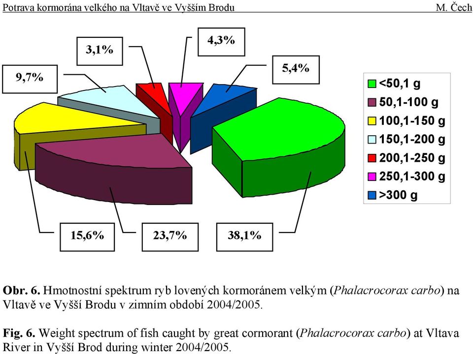 Hmotnostní spektrum ryb lovených kormoránem velkým (Phalacrocorax carbo) na Vltavě ve Vyšší