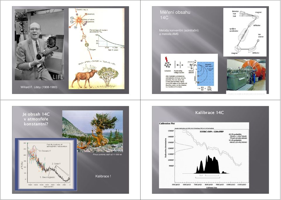 Libby (1908-1980) Je obsah 14C v atmosféře