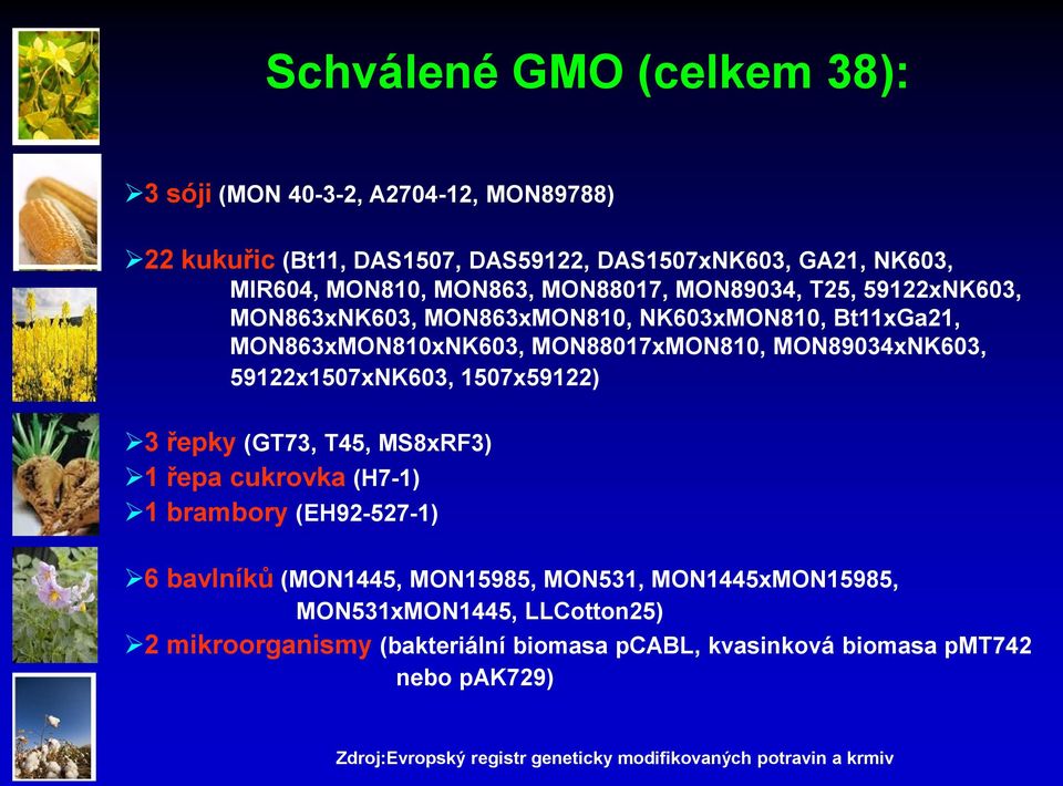 59122x1507xNK603, 1507x59122) 3 řepky (GT73, T45, MS8xRF3) 1 řepa cukrovka (H7-1) 1 brambory (EH92-527-1) 6 bavlníků (MON1445, MON15985, MON531,