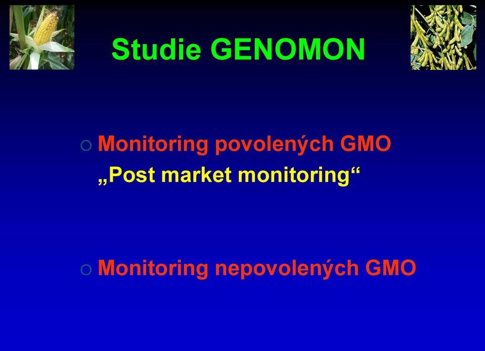 GMO Post market