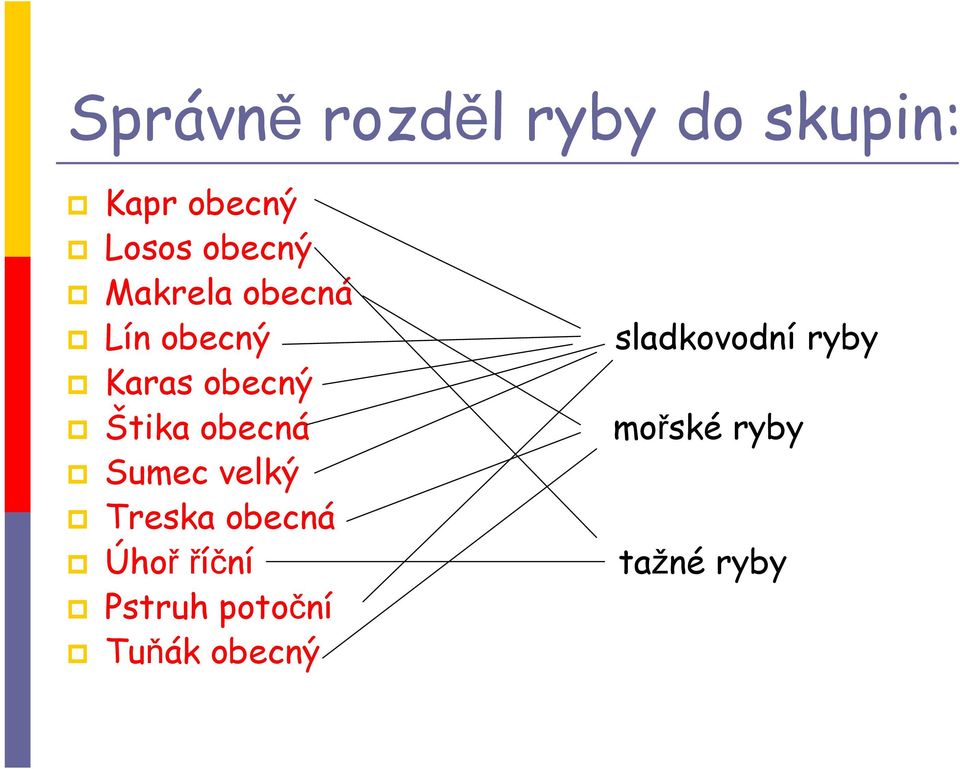 obecná Sumec velký Treska obecná Úhoř říční Pstruh