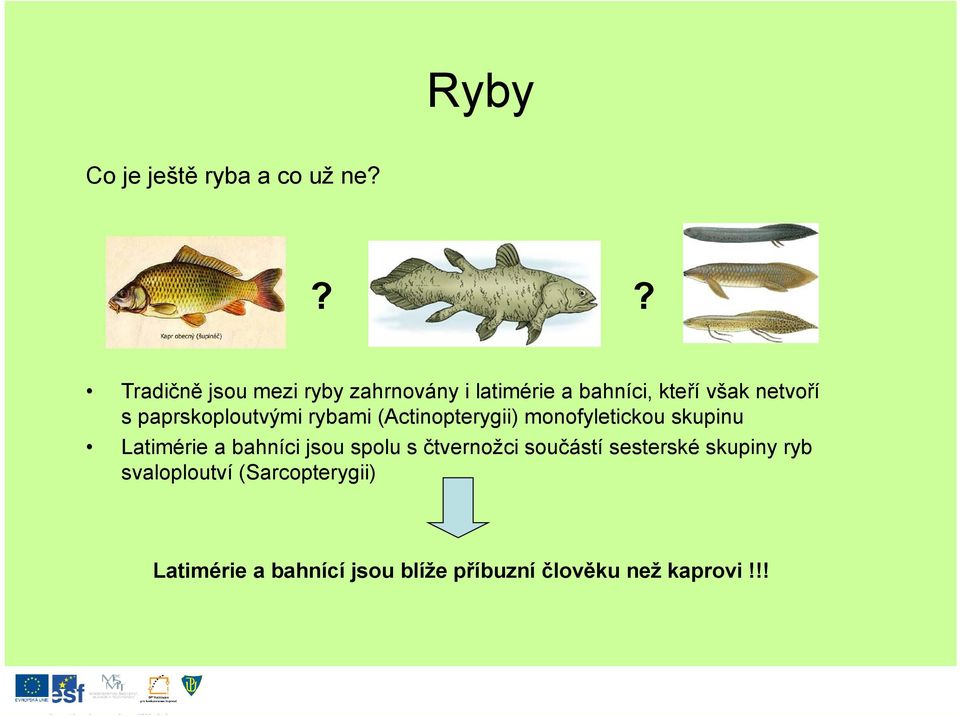 paprskoploutvými rybami (Actinopterygii) monofyletickou skupinu Latimérie a bahníci