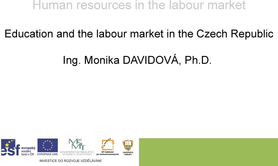 labour market in the Czech