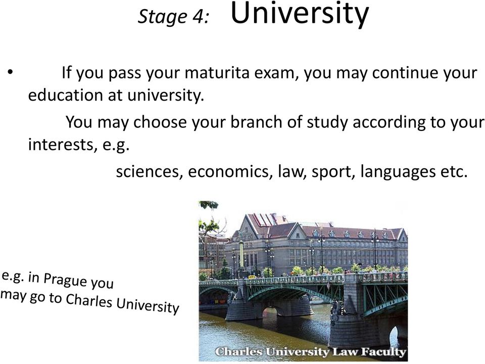 You may choose your branch of study according to your