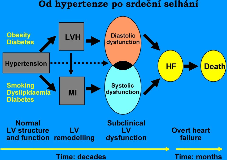 Systolic dysfunction Normal LV structure and function LV remodelling