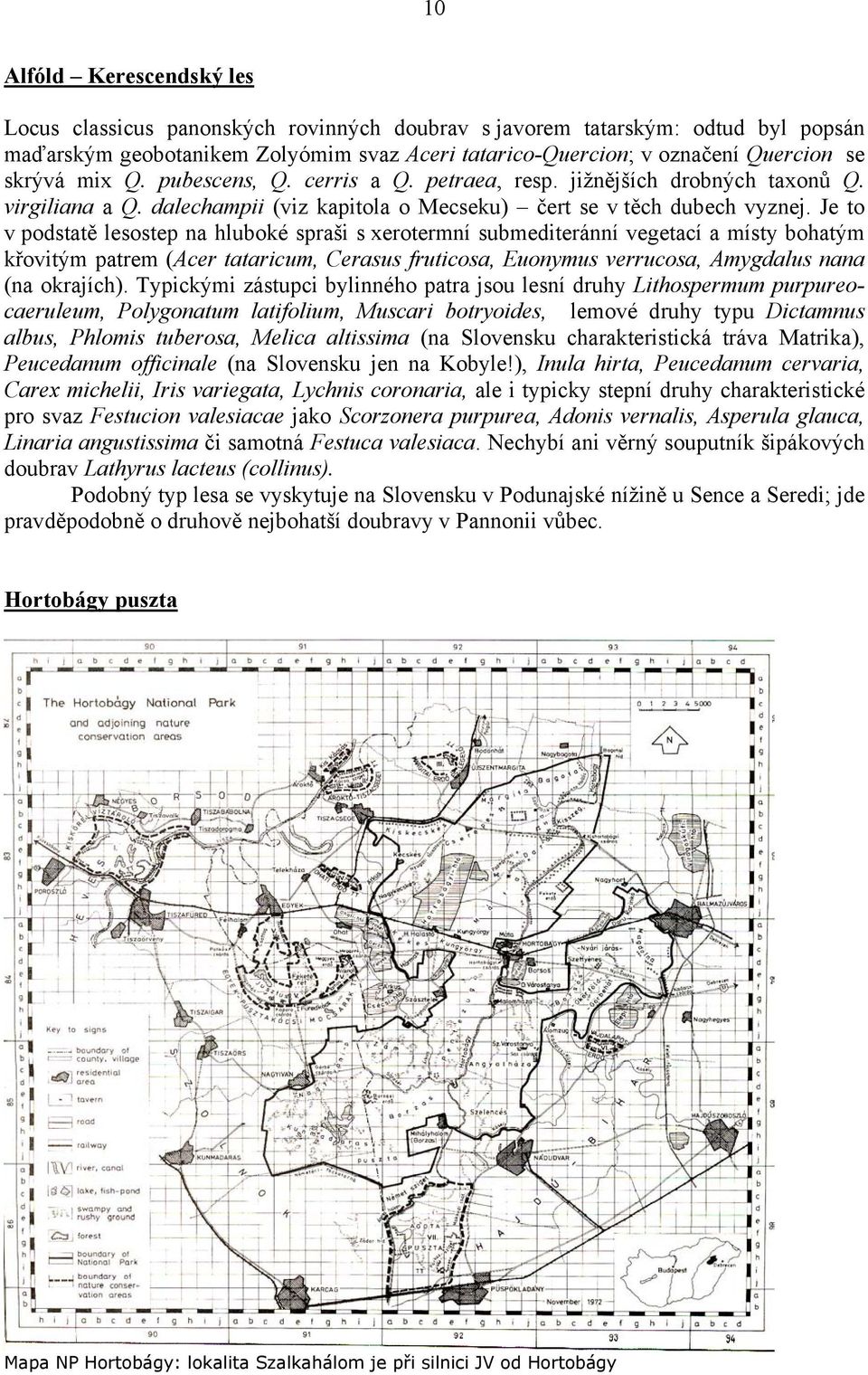 Je to v podstatě lesostep na hluboké spraši s xerotermní submediteránní vegetací a místy bohatým křovitým patrem (Acer tataricum, Cerasus fruticosa, Euonymus verrucosa, Amygdalus nana (na okrajích).
