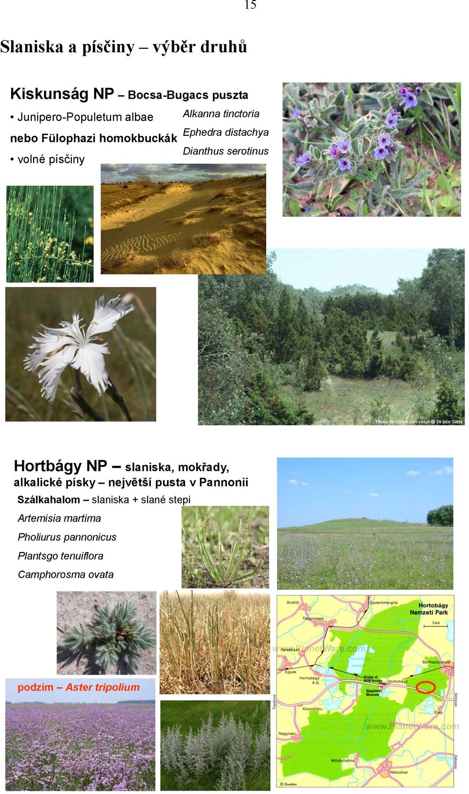 Hortbágy NP slaniska, mokřady, alkalické písky největší pusta v Pannonii Szálkahalom slaniska +