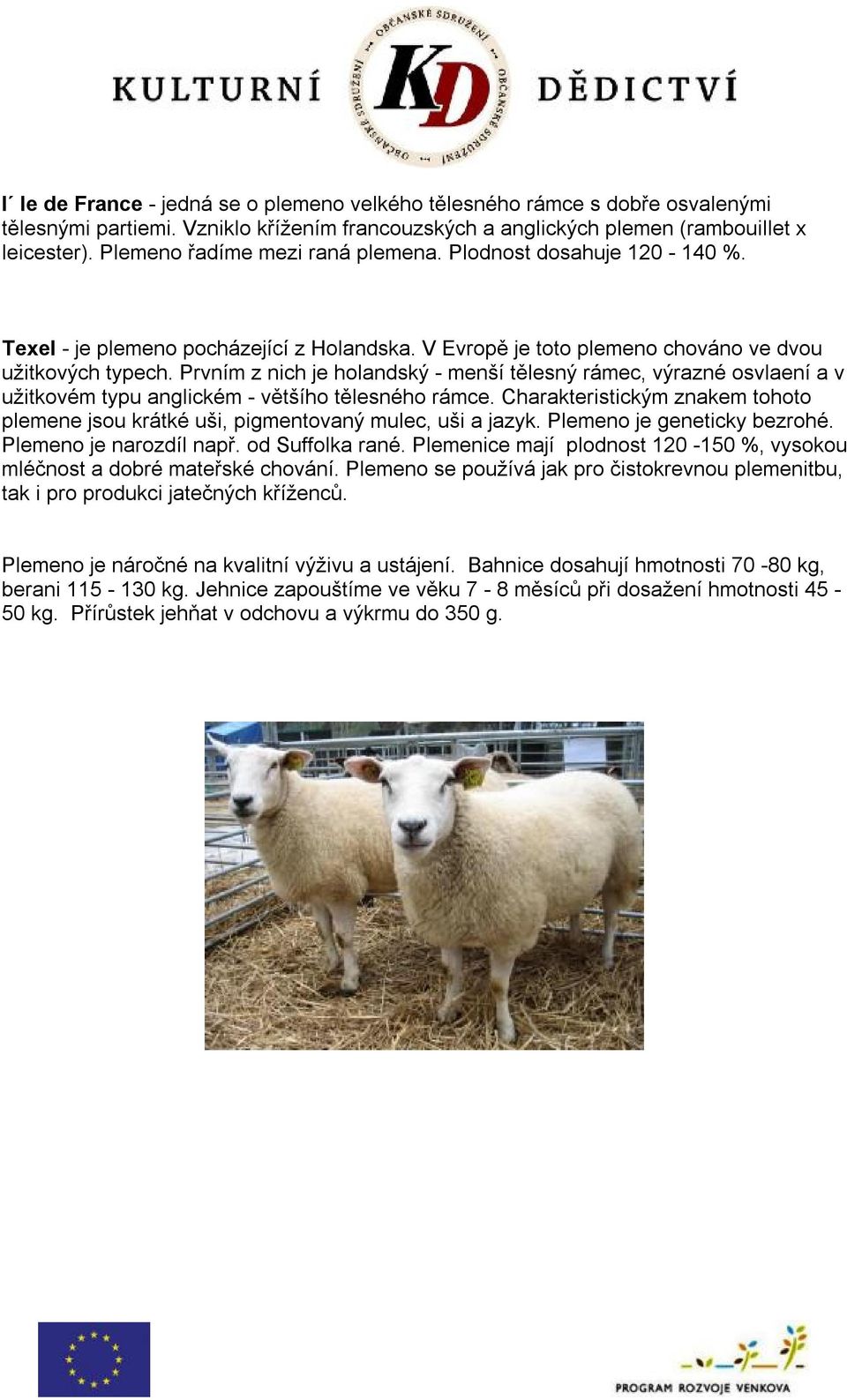 Prvním z nich je holandský - menší tělesný rámec, výrazné osvlaení a v užitkovém typu anglickém - většího tělesného rámce.