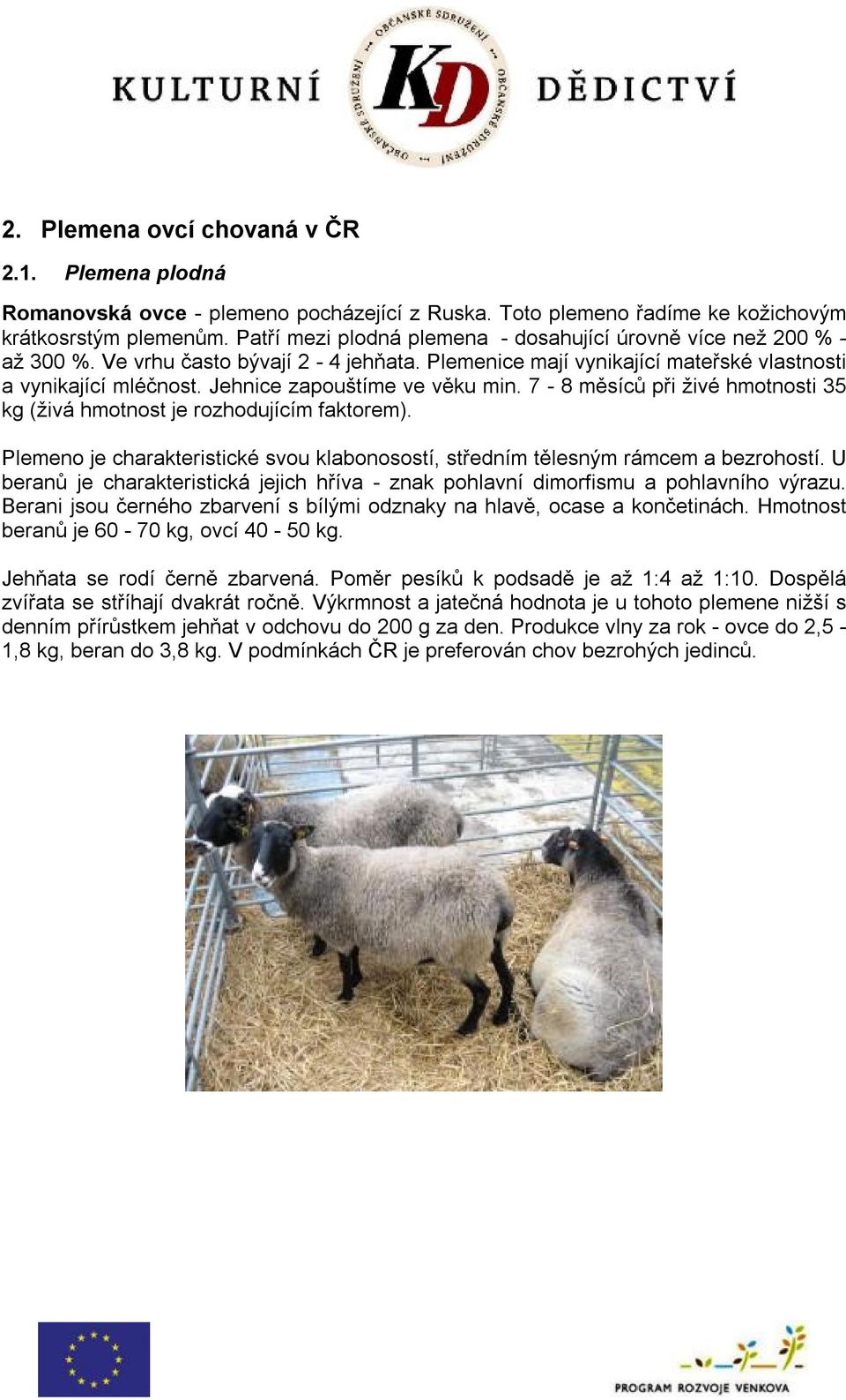 Jehnice zapouštíme ve věku min. 7-8 měsíců při živé hmotnosti 35 kg (živá hmotnost je rozhodujícím faktorem). Plemeno je charakteristické svou klabonosostí, středním tělesným rámcem a bezrohostí.