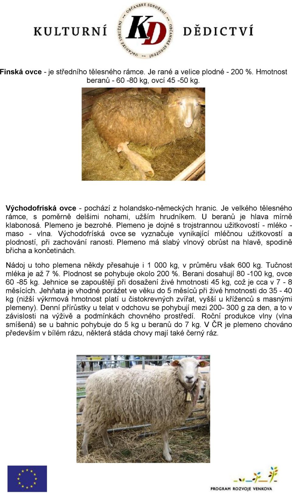 Východofríská ovce se vyznačuje vynikající mléčnou užitkovostí a plodností, při zachování ranosti. Plemeno má slabý vlnový obrůst na hlavě, spodině břicha a končetinách.