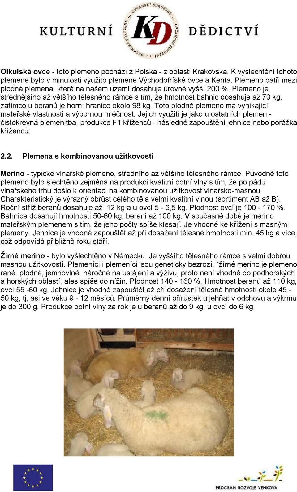 Plemeno je střednějšího až většího tělesného rámce s tím, že hmotnost bahnic dosahuje až 70 kg, zatímco u beranů je horní hranice okolo 98 kg.