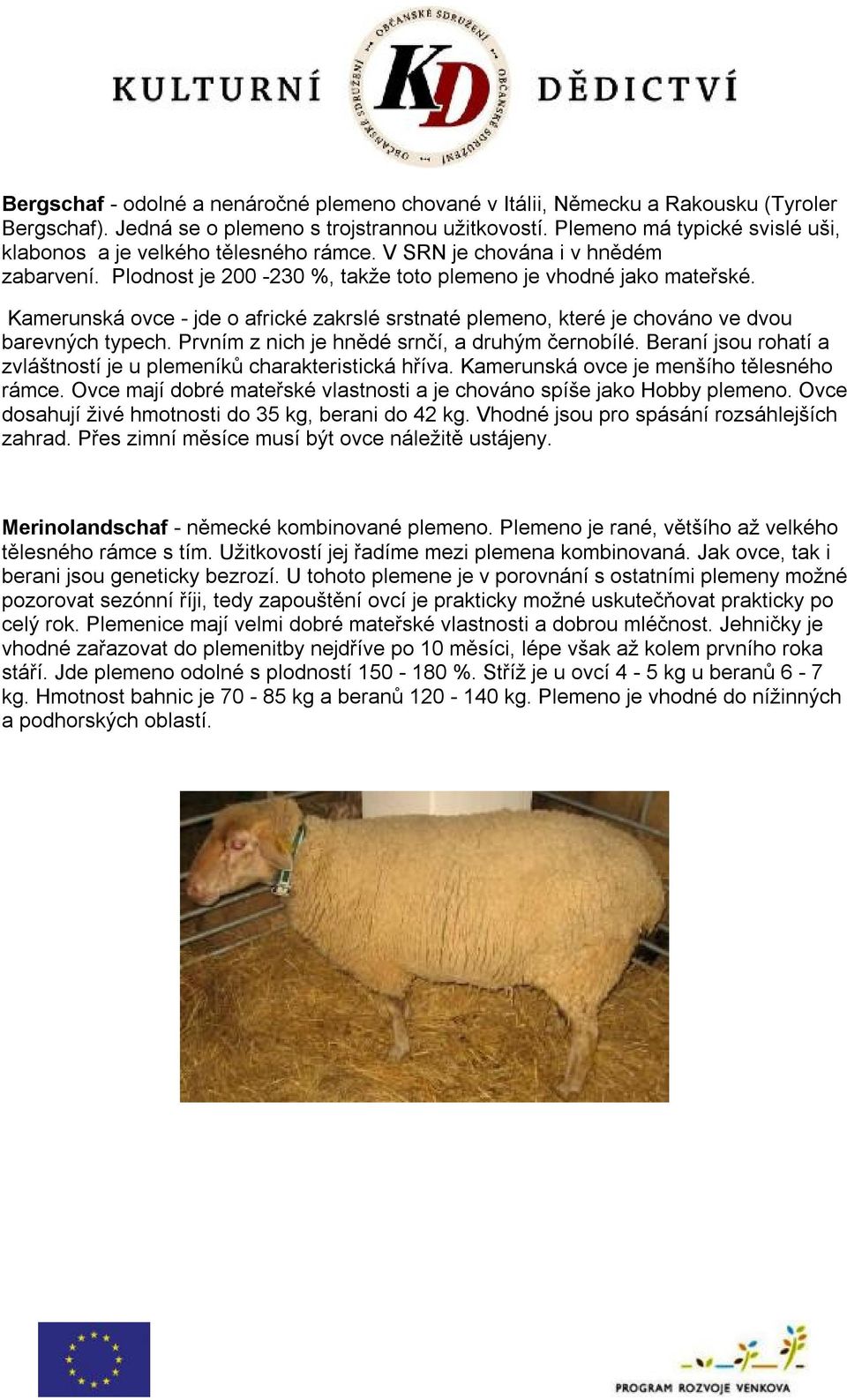 Kamerunská ovce - jde o africké zakrslé srstnaté plemeno, které je chováno ve dvou barevných typech. Prvním z nich je hnědé srnčí, a druhým černobílé.