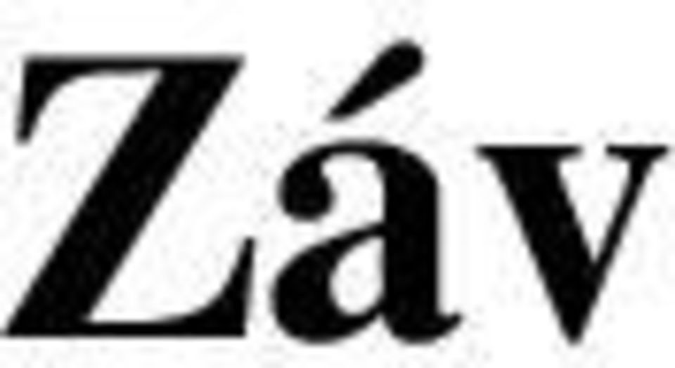 420/2004 Sb.) III. Při přezkoumání hospodaření ÚSC Seč za rok 2012 Neuvádí se zjištěná rizika dle 10 odst. 4 písm. a) zákona č. 420/2004 Sb. IV.