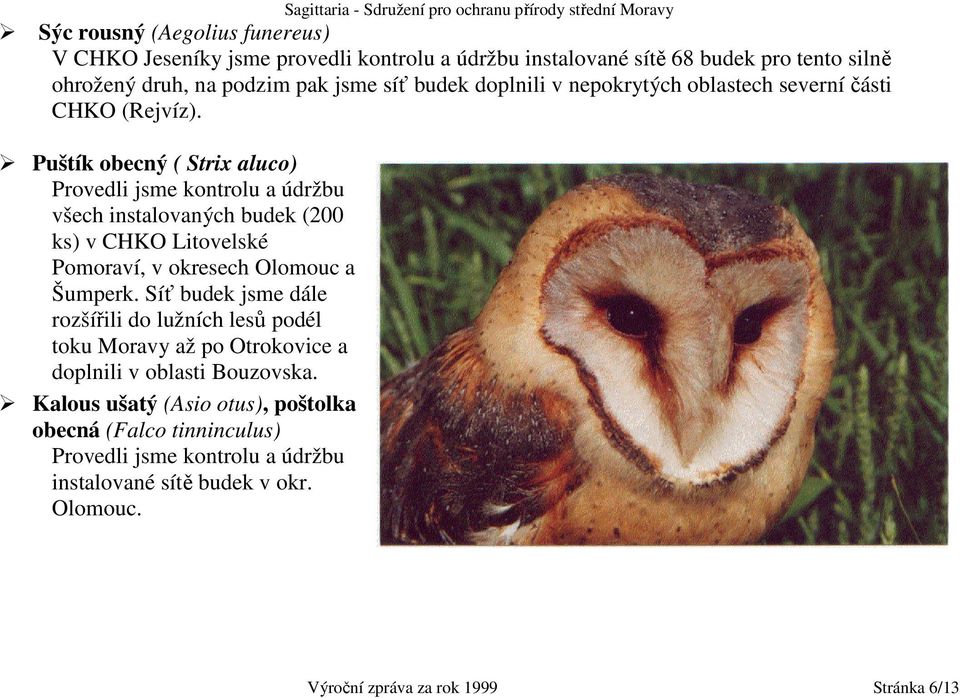 Puštík obecný ( Strix aluco) Provedli jsme kontrolu a údržbu všech instalovaných budek (200 ks) v CHKO Litovelské Pomoraví, v okresech Olomouc a Šumperk.