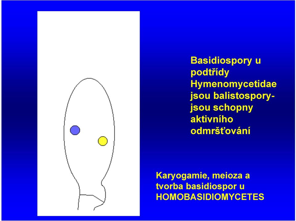 schopny aktivního odmršťování