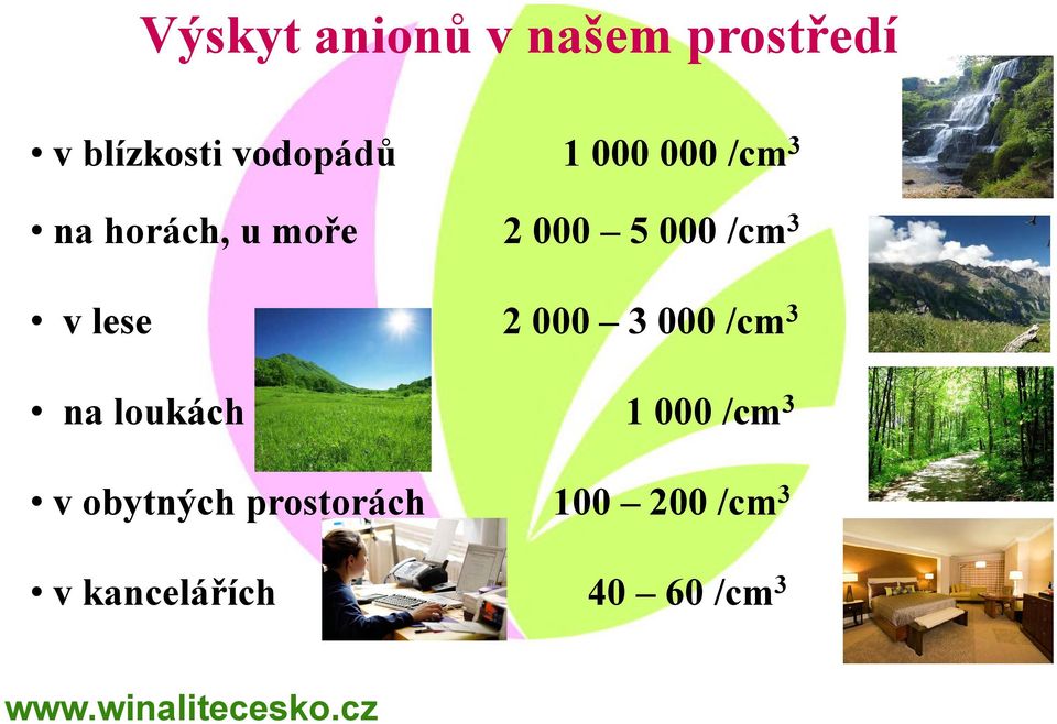 lese 2 000 3 000 /cm 3 na loukách 1 000 /cm 3 v