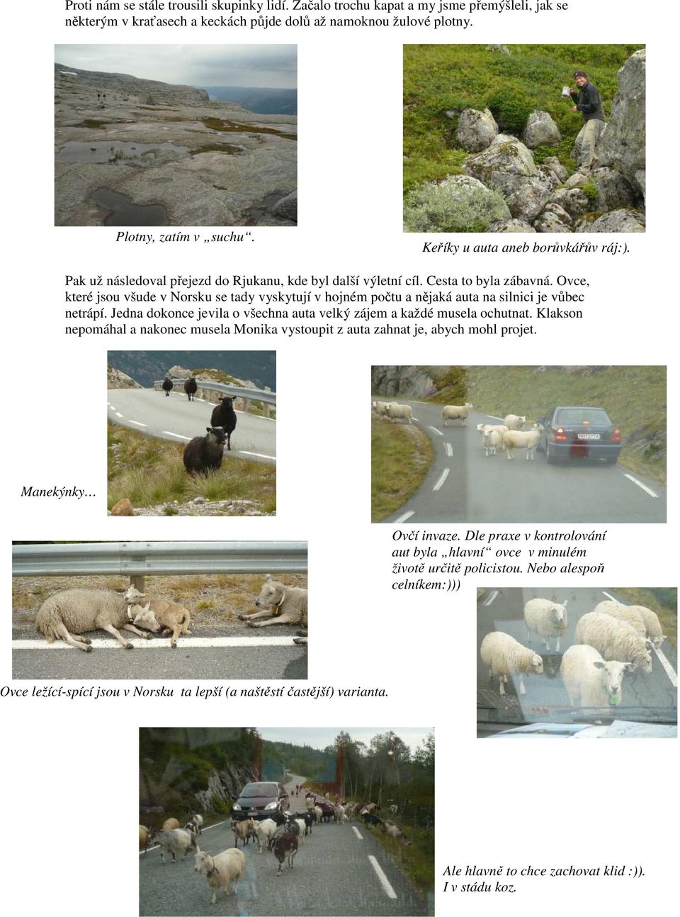 Ovce, které jsou všude v Norsku se tady vyskytují v hojném počtu a nějaká auta na silnici je vůbec netrápí. Jedna dokonce jevila o všechna auta velký zájem a každé musela ochutnat.