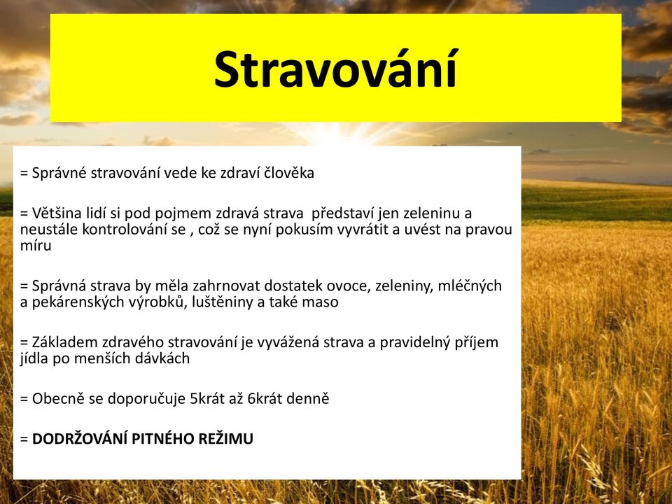 dostatek ovoce, zeleniny, mléčných a pekárenských výrobků, luštěniny a také maso = Základem zdravého stravování je