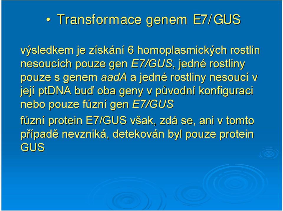 buď oba geny v původnp vodní konfiguraci nebo pouze fúzní gen E7/GUS fúzní