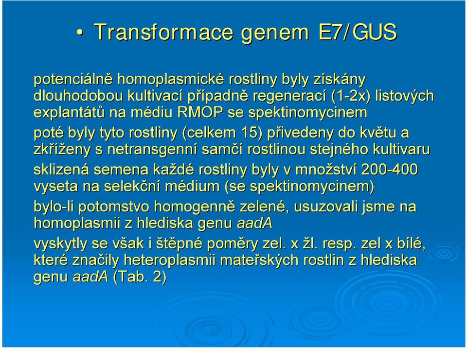 každé rostliny byly v množstv ství -4 vyseta na selekční médium (se spektinomycinem) bylo-li li potomstvo homogenně zelené,, usuzovali jsme na