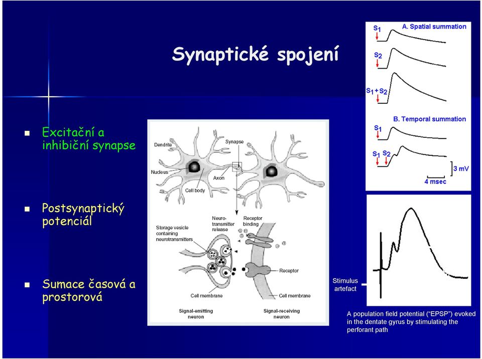 artefact EPS P Popul ation spike A population field