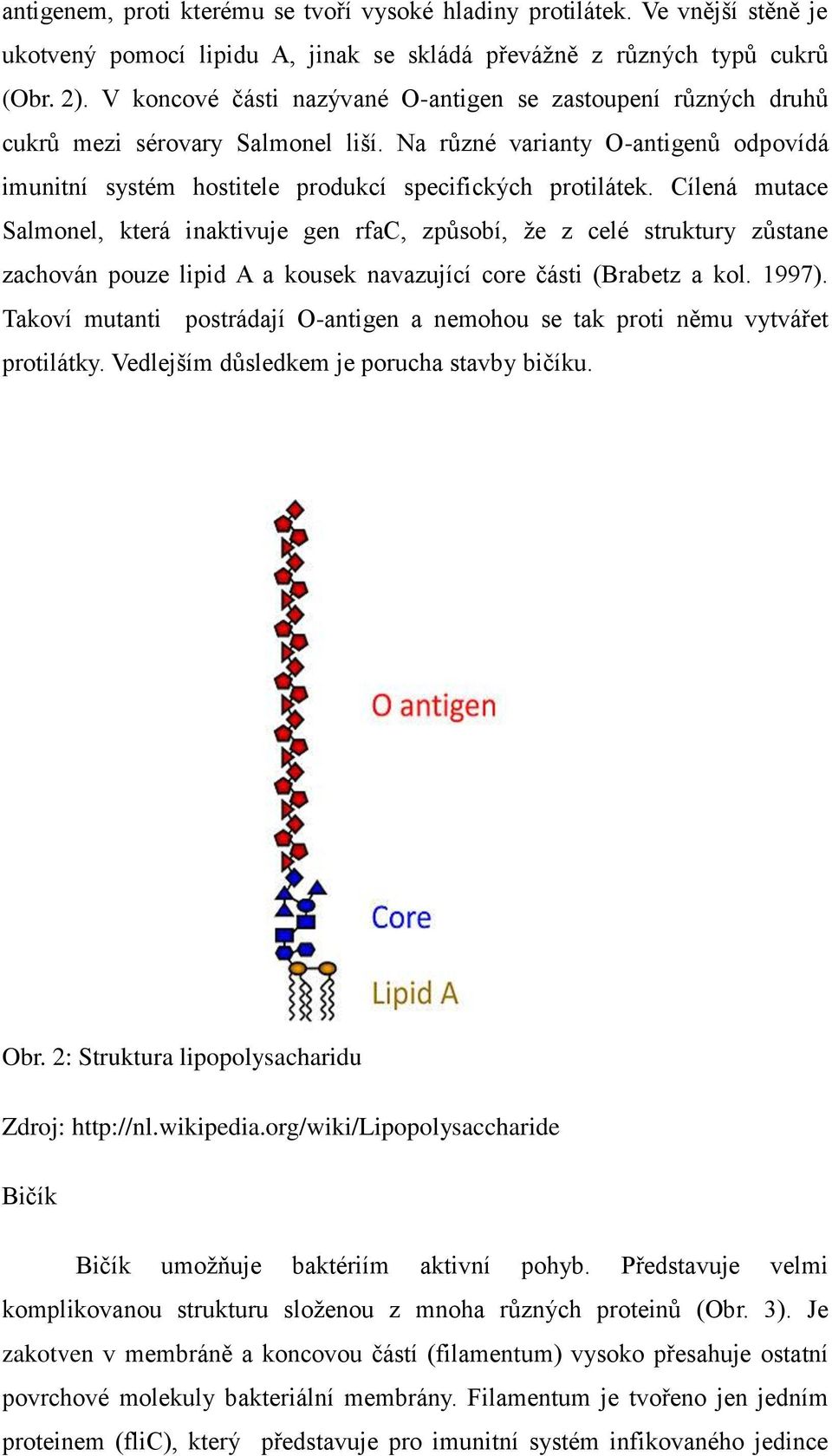Cílená mutace Salmonel, která inaktivuje gen rfac, způsobí, že z celé struktury zůstane zachován pouze lipid A a kousek navazující core části (Brabetz a kol. 1997).