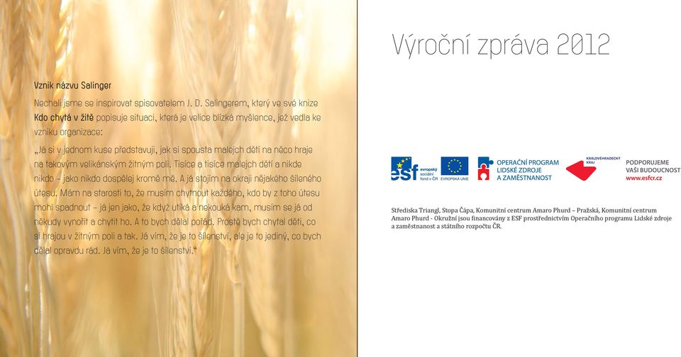 hraje na takovým velikánským žitným poli. Tisíce a tisíce malejch dětí a nikde nikdo jako nikdo dospělej kromě mě. A já stojím na okraji nějakého šíleného útesu.