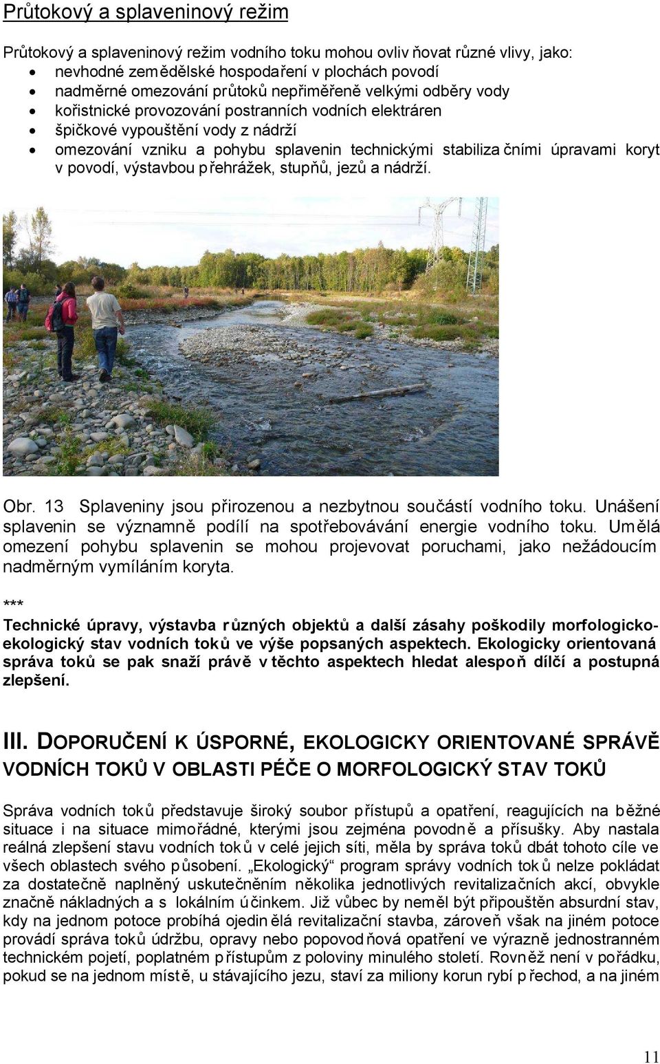 v povodí, výstavbou přehrážek, stupňů, jezů a nádrží. Obr. 13 Splaveniny jsou přirozenou a nezbytnou součástí vodního toku. Unášení splavenin se významně podílí na spotřebovávání energie vodního toku.