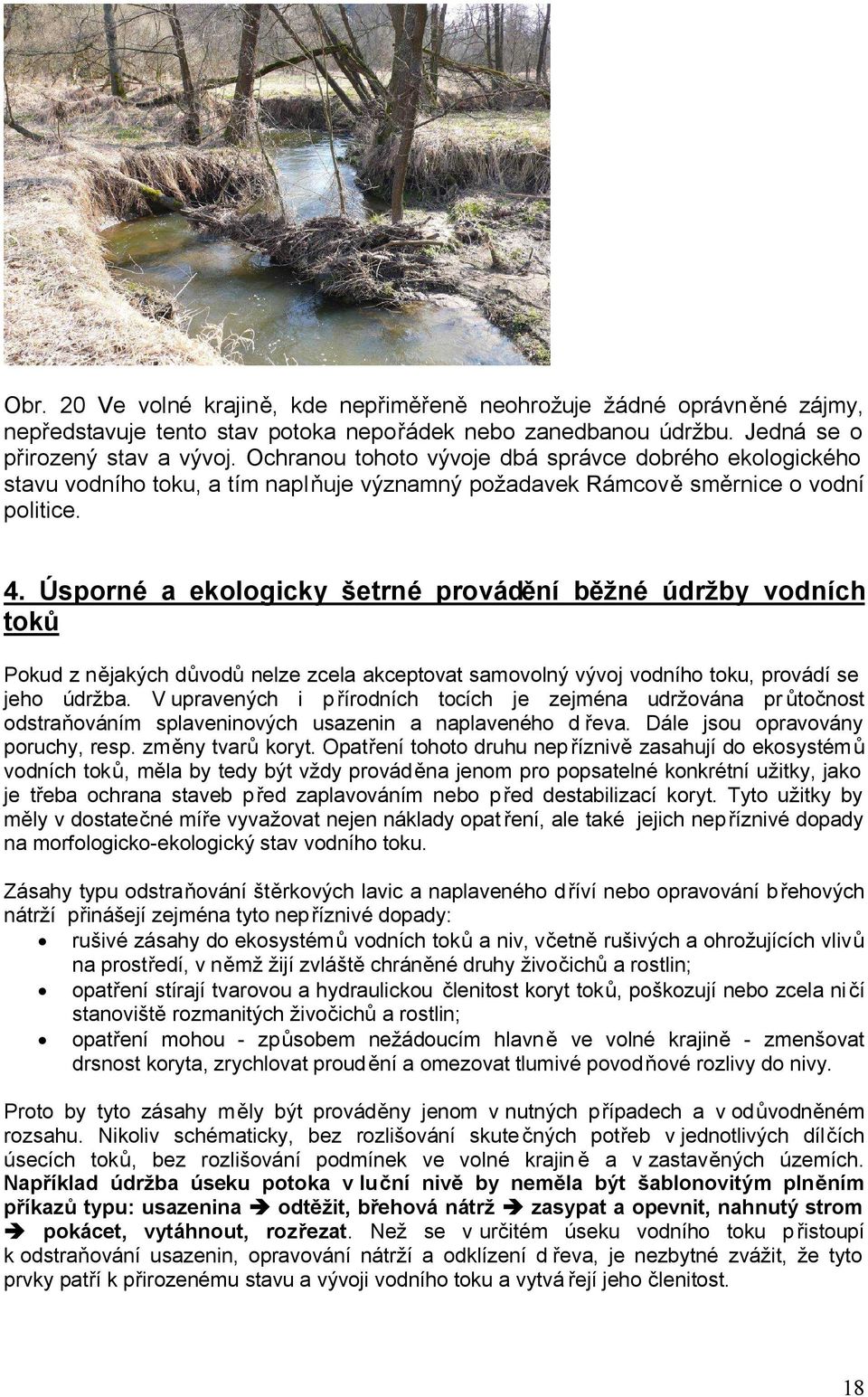 Úsporné a ekologicky šetrné provádění běžné údržby vodních toků Pokud z nějakých důvodů nelze zcela akceptovat samovolný vývoj vodního toku, provádí se jeho údržba.