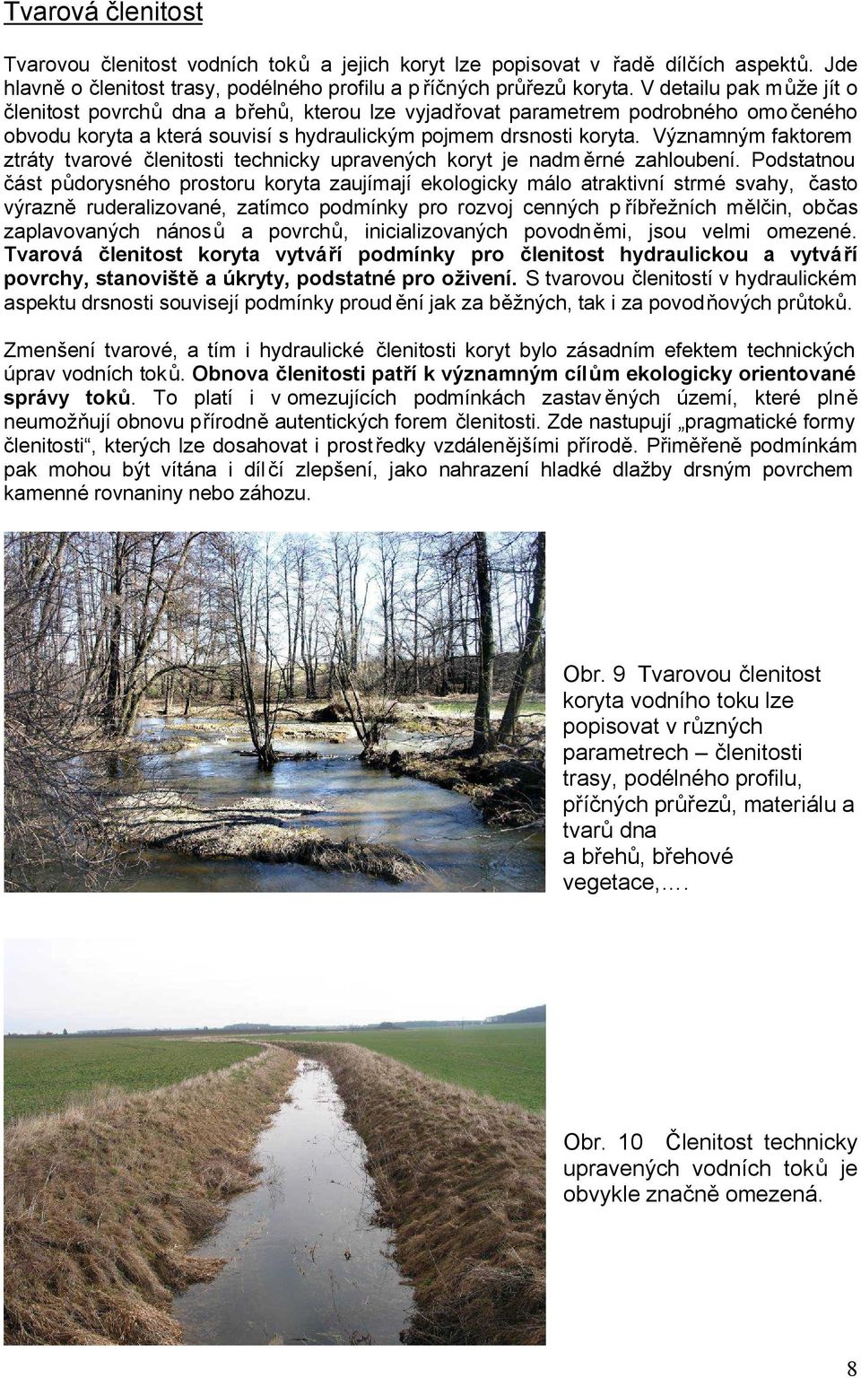 Významným faktorem ztráty tvarové členitosti technicky upravených koryt je nadm ěrné zahloubení.