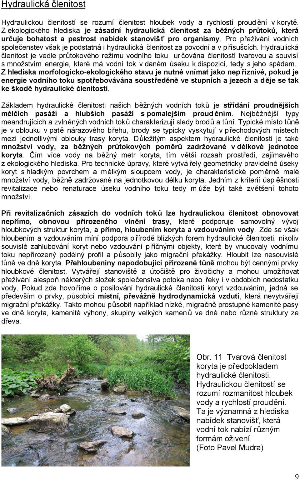Pro přežívání vodních společenstev však je podstatná i hydraulická členitost za povodní a v p řísušcích.