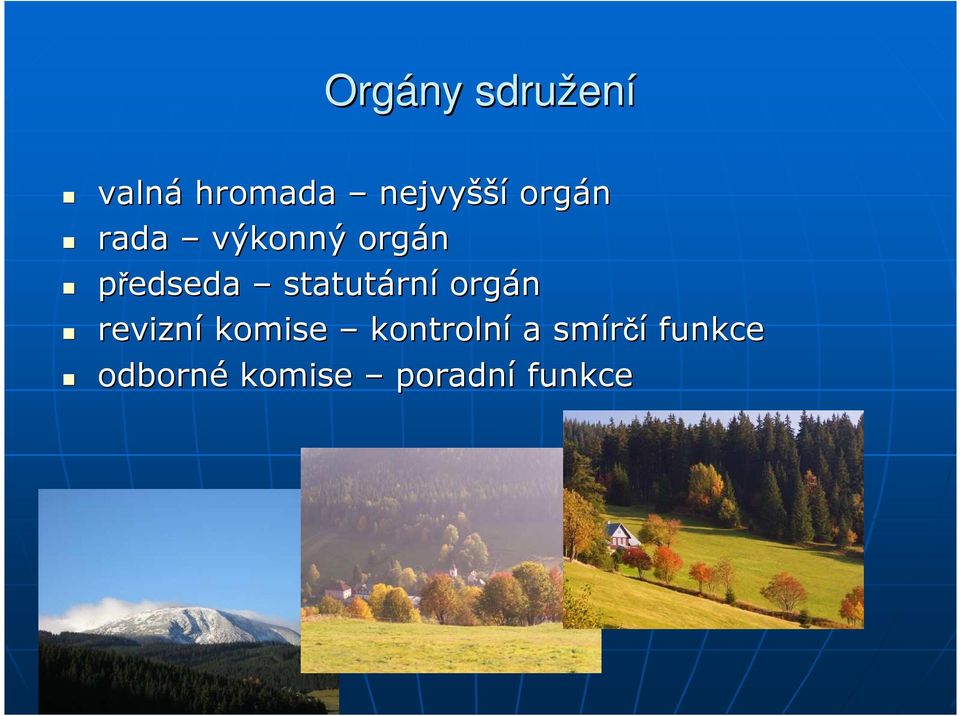 statutárn rní orgán revizní komise