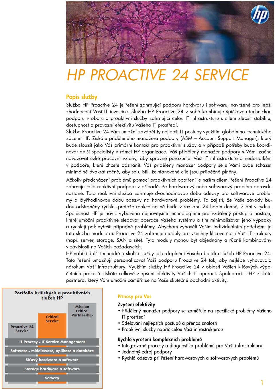IT prostředí. Služba Proactive 24 Vám umožní zavádět ty nejlepší IT postupy využitím globálního technického zázemí HP.