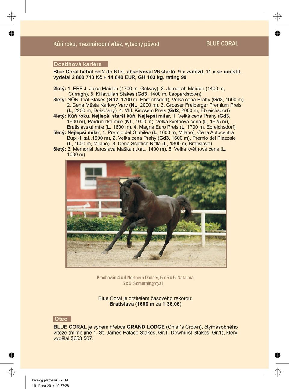 Killavullan Stakes (Gd3, 1400 m, Leopardstown) 3letý: NÖN Trial Stakes (Gd2, 1700 m, Ebreichsdorf), Velká cena Prahy (Gd3, 1600 m), 2. Cena Mìsta Karlovy Vary (NL, 2000 m), 3.