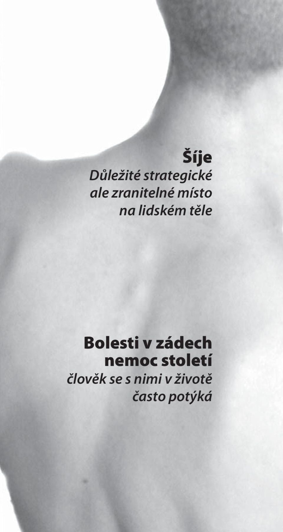 Bolesti v zádech nemoc století