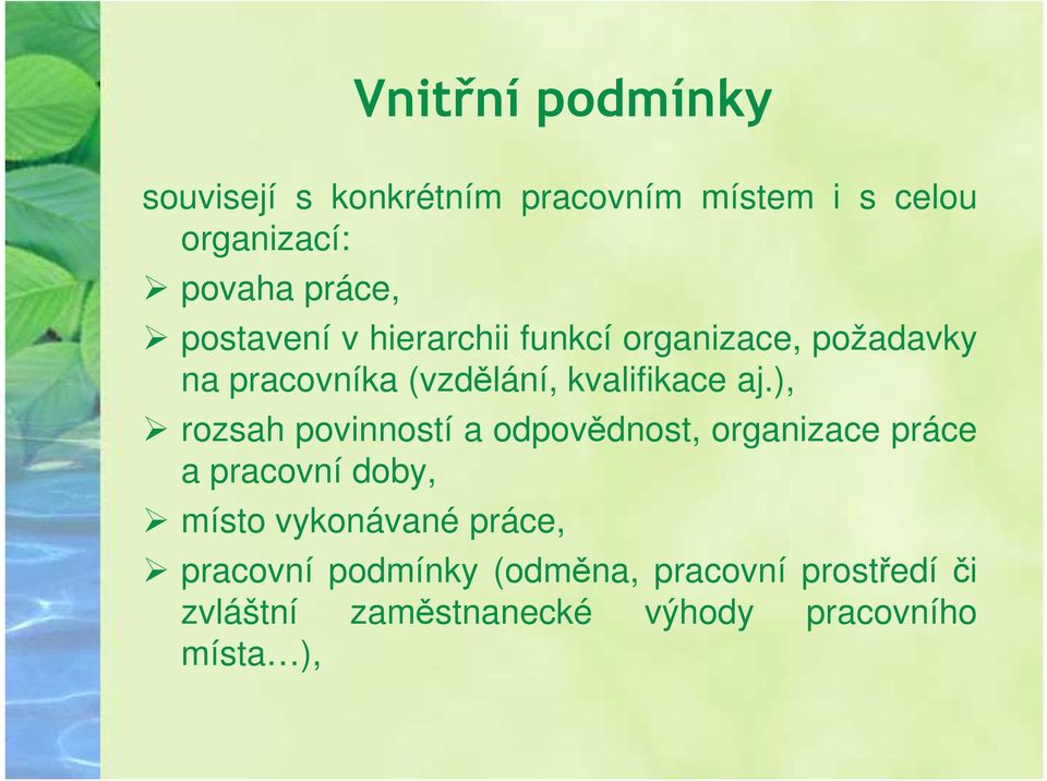 ), rozsah povinností a odpovědnost, organizace práce a pracovní doby, místo vykonávané práce,