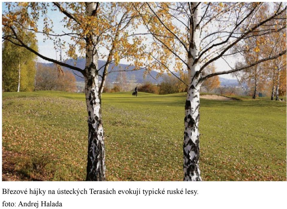 evokují typické