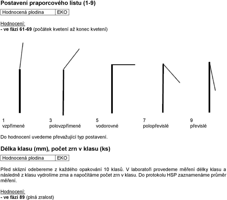 Délka klasu (mm), počet zrn v klasu (ks) Před sklizní odebereme z každého opakování 10 klasů.