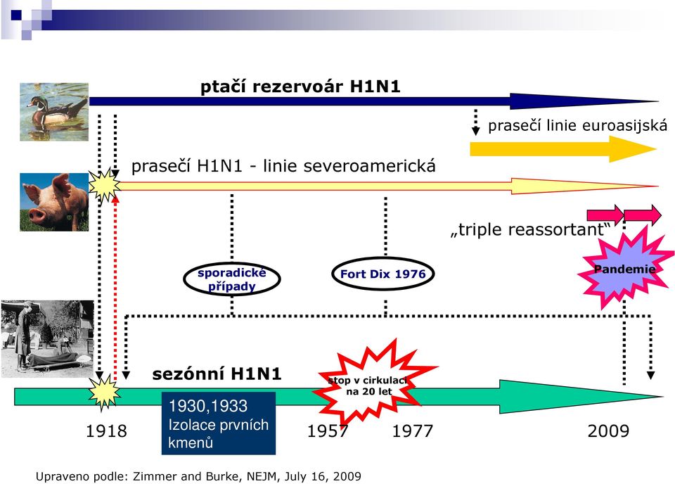 Pandemie 1918 sezónní H1N1 1930,1933 Izolace prvních kmenů stop v