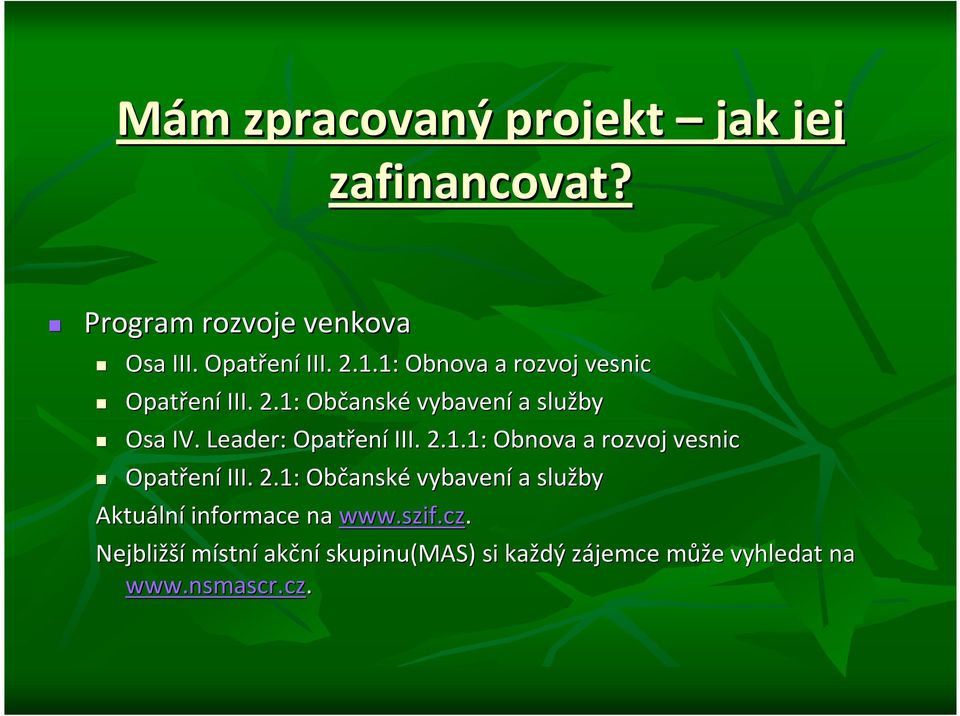 Leader: Opatřen ení III. 2.1.1: Obnova a rozvoj vesnic Opatřen eníiii. 2.1: Občansk anské vybavení a služby Aktuáln lní informace na www.