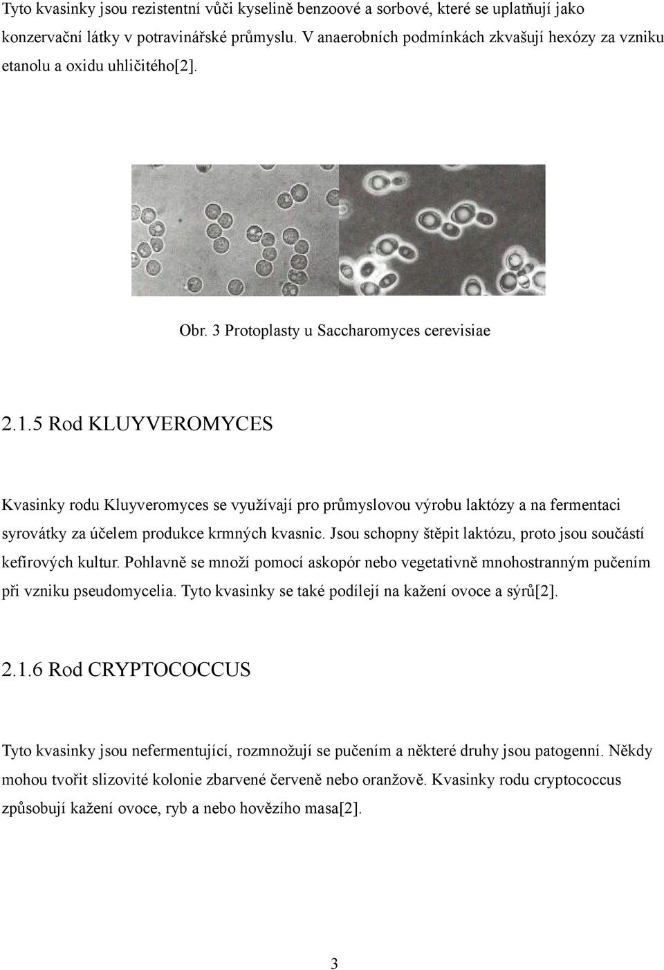 5 Rod KLUYVEROMYCES Kvasinky rodu Kluyveromyces se využívají pro průmyslovou výrobu laktózy a na fermentaci syrovátky za účelem produkce krmných kvasnic.