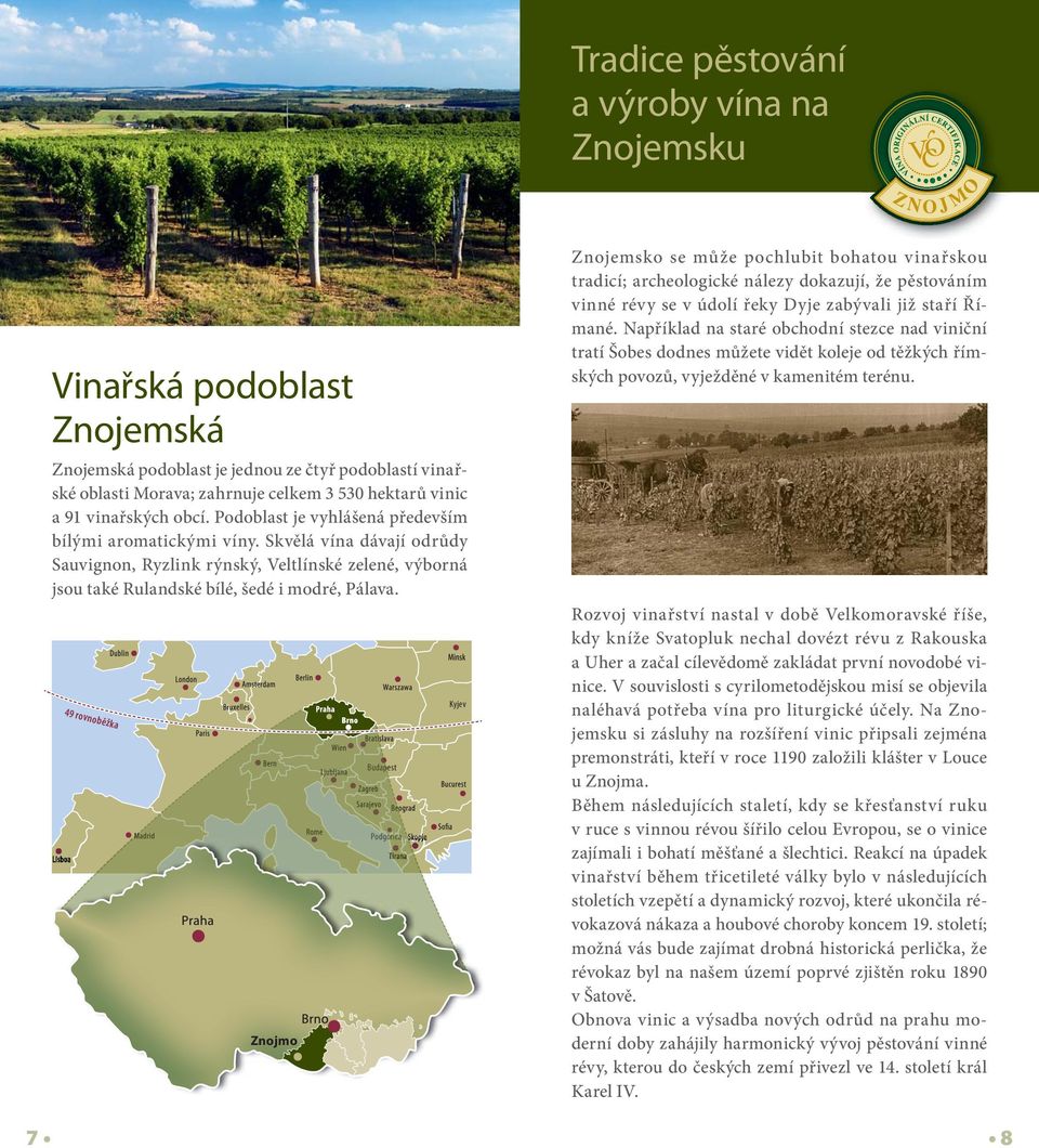 Skvělá vína dávají odrůdy Sauvignon, Ryzlink rýnský, Veltlínské zelené, výborná jsou také Rulandské bílé, šedé i modré, Pálava.