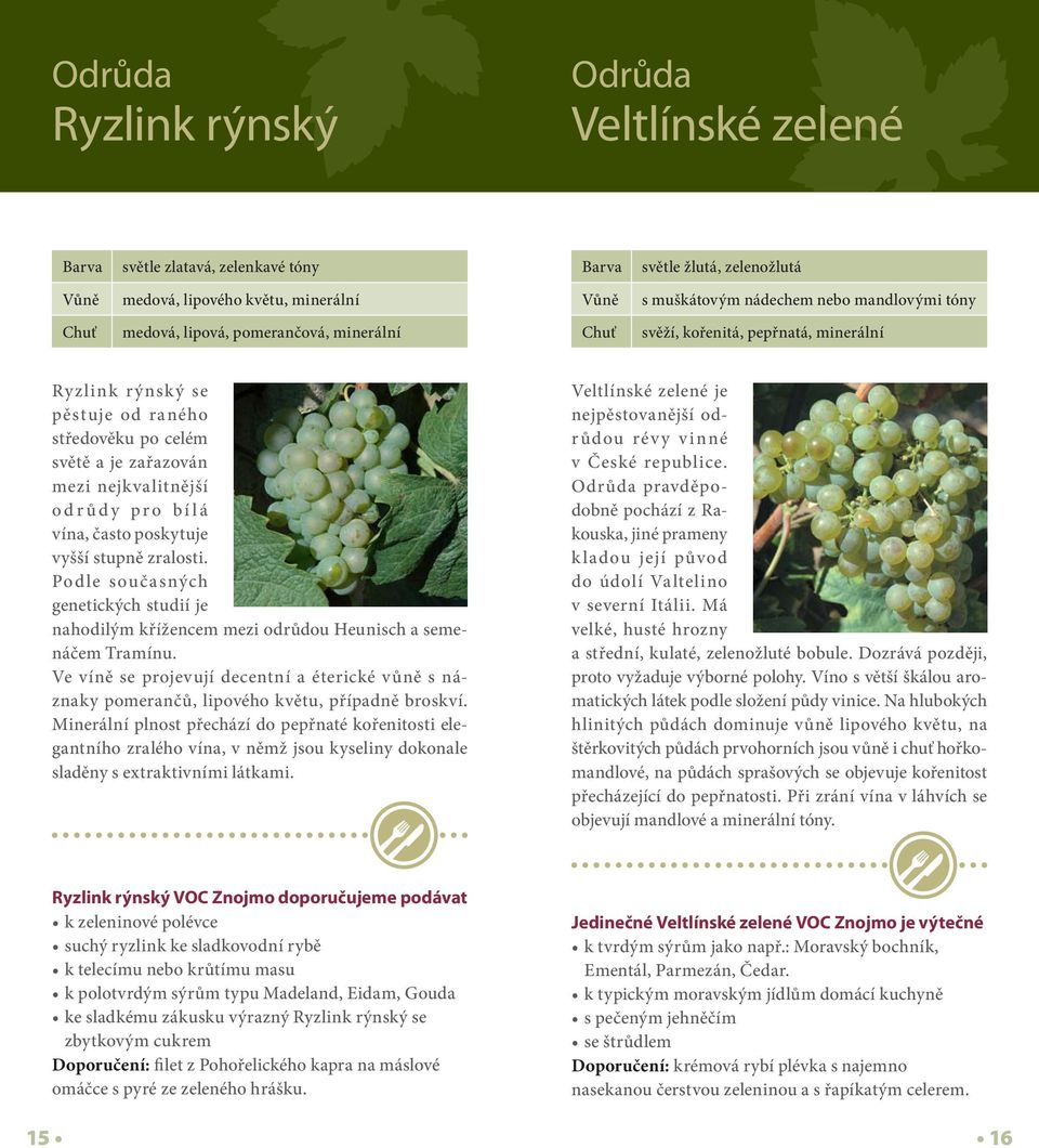 bílá vína, často poskytuje vyšší stupně zralosti. Podle současných genetických studií je nahodilým křížencem mezi odrůdou Heunisch a semenáčem Tramínu.